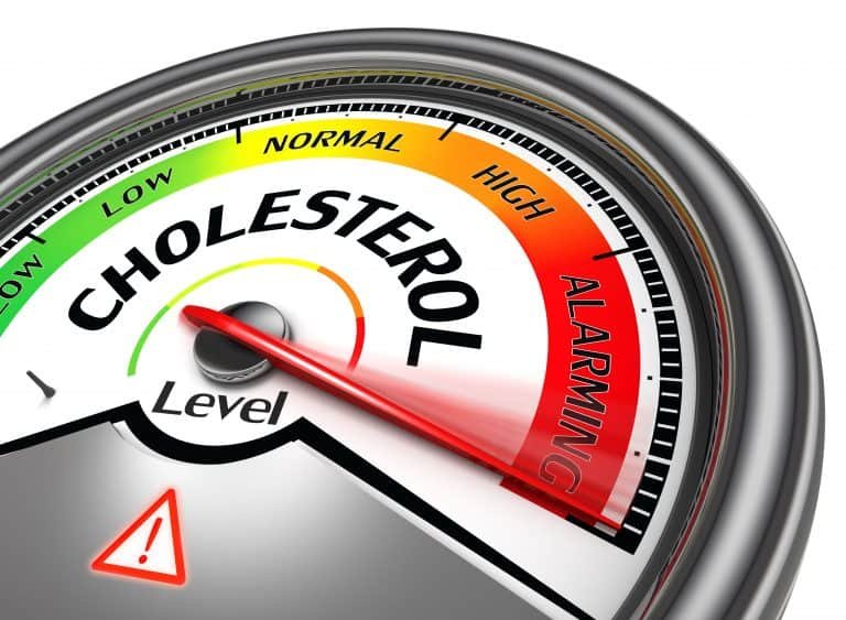High Cholesterol Foods Can Be Beneficial