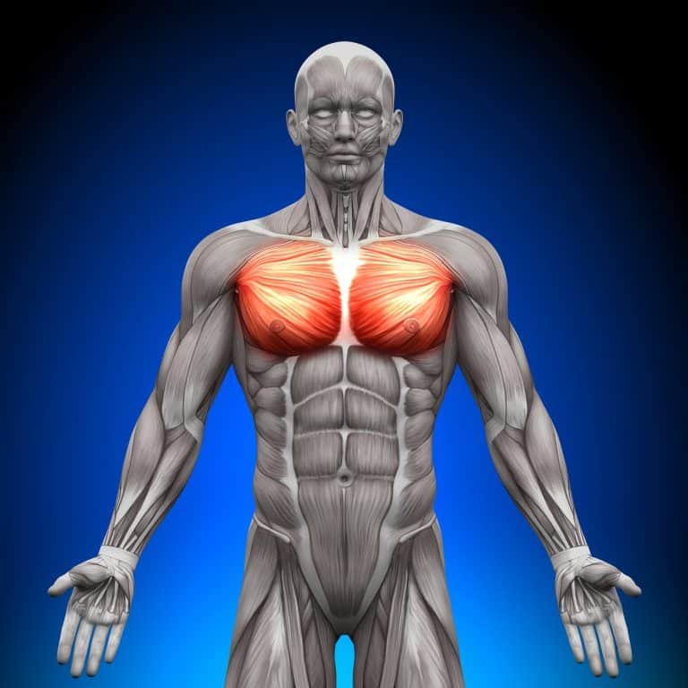 how to get a big chest