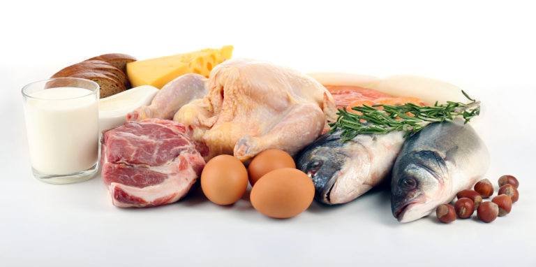 foods high in protein