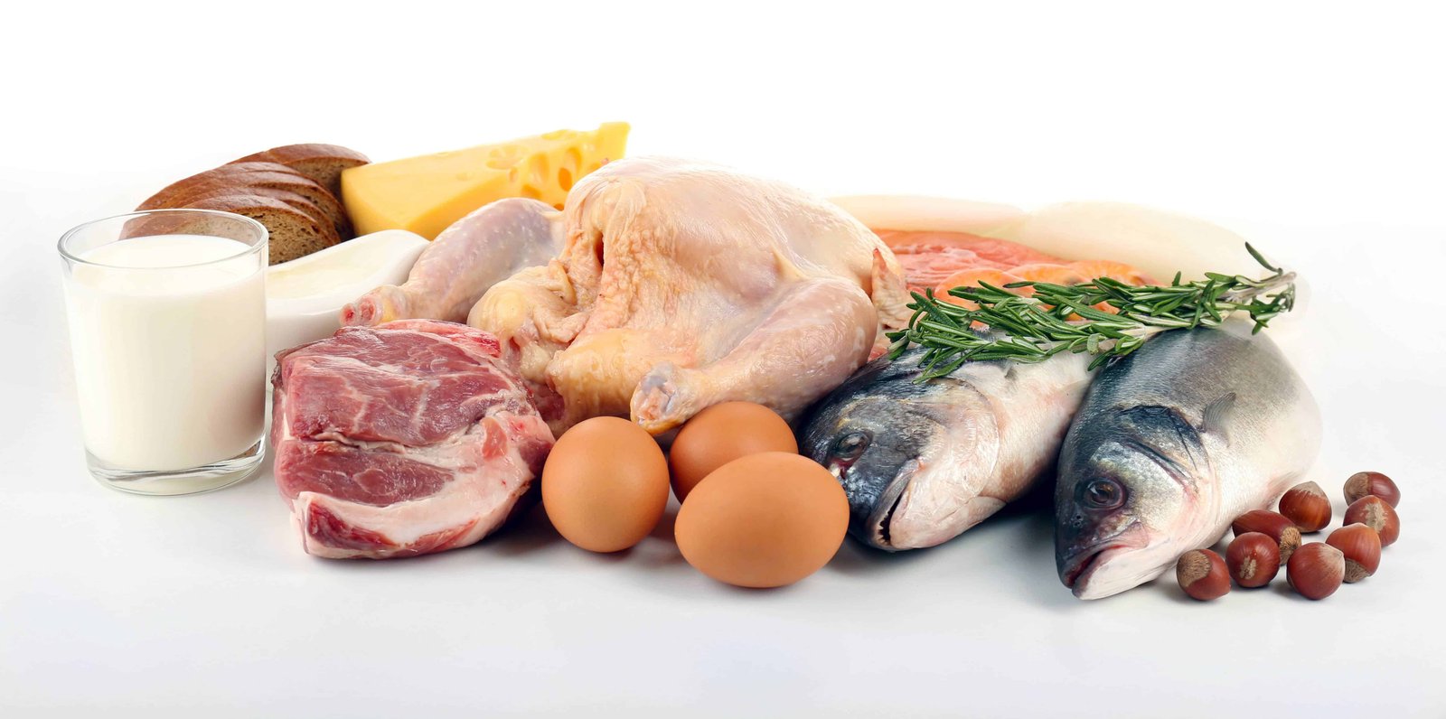 foods high in protein