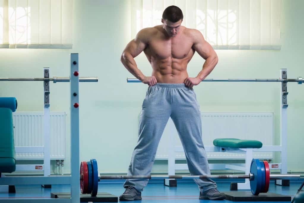 An Introduction To Resistance Training 5 resistance training