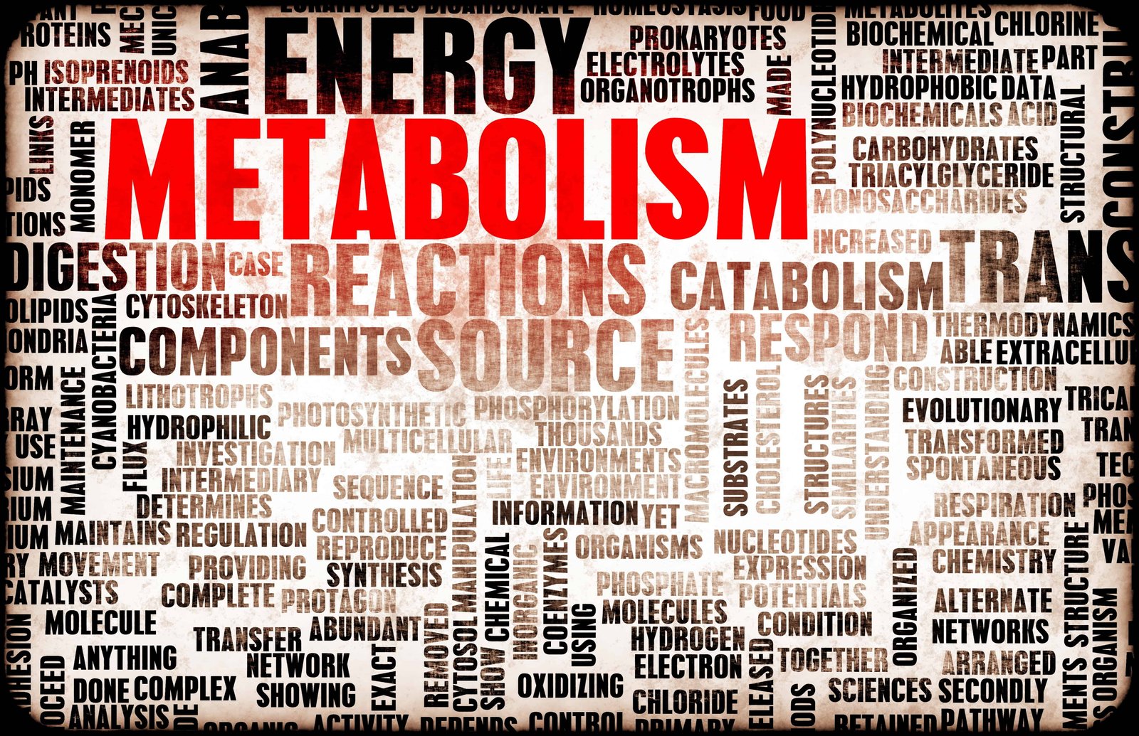 Four Common Mistakes That Slow Your Metabolism 1 Four Common Mistakes That Slow Your Metabolism