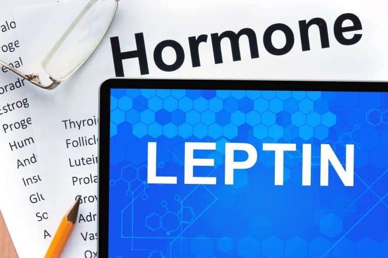 Discover the Impact That Leptin Has on Your Weight Loss