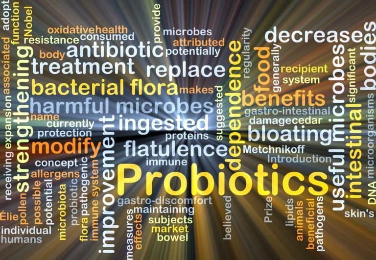 What are Probiotics?