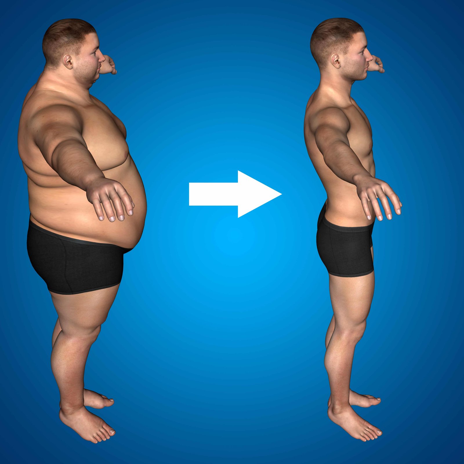 What Is Fat And How Is It Stored In The Body? 1 What is fat and how is it stored in the body?