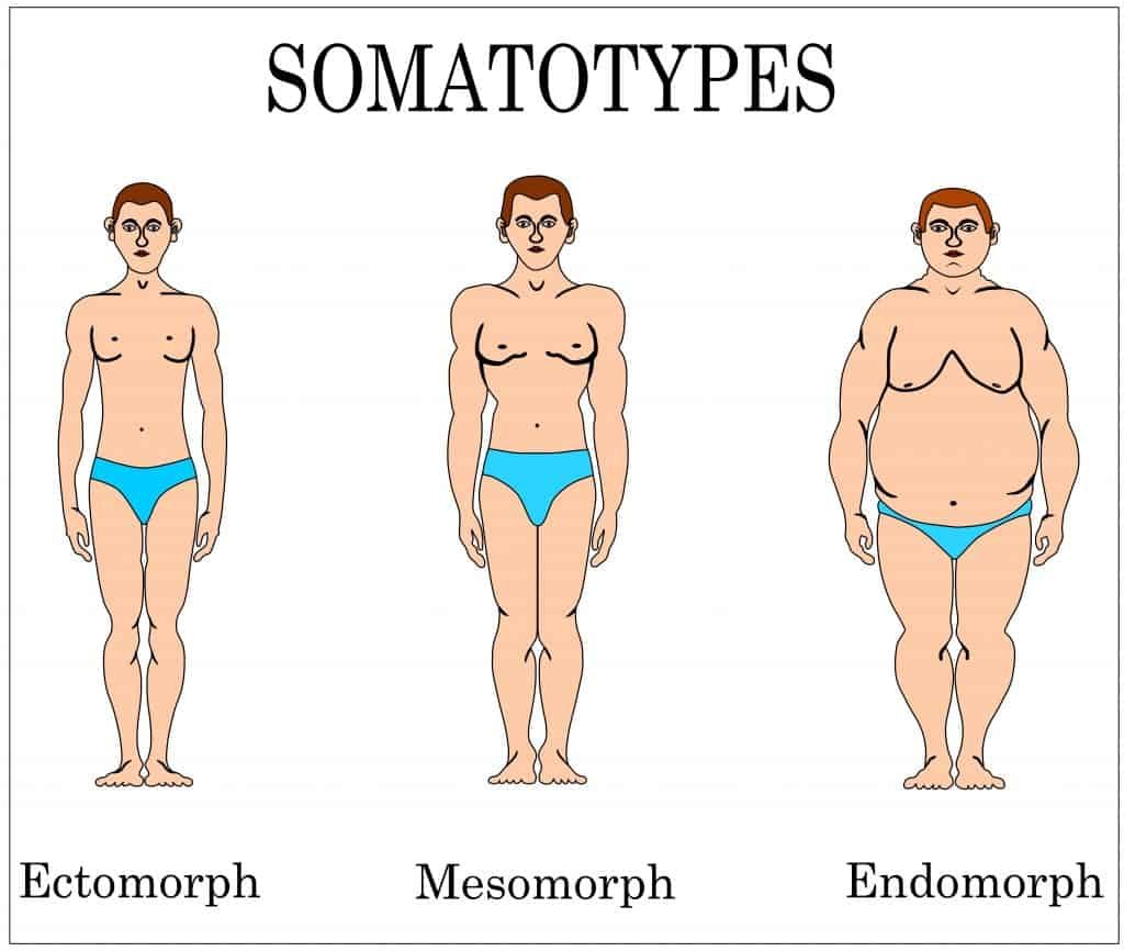 What is fat and how is it stored in the body?