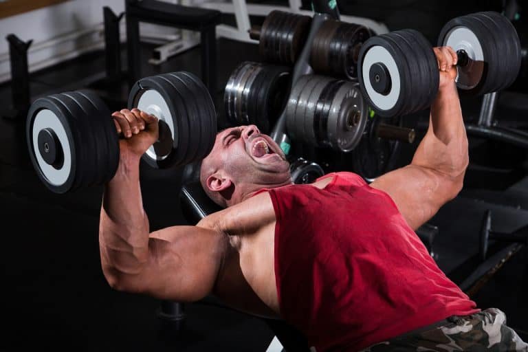Free Weights vs Machines for a Killer Workout