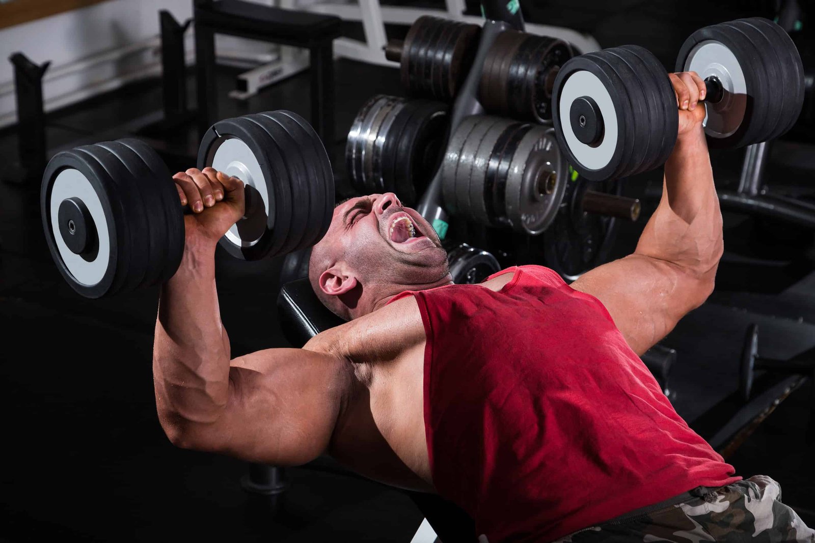 Free Weights and Machines for a Killer Workout 1 Free Weights vs Machines for a Killer Workout