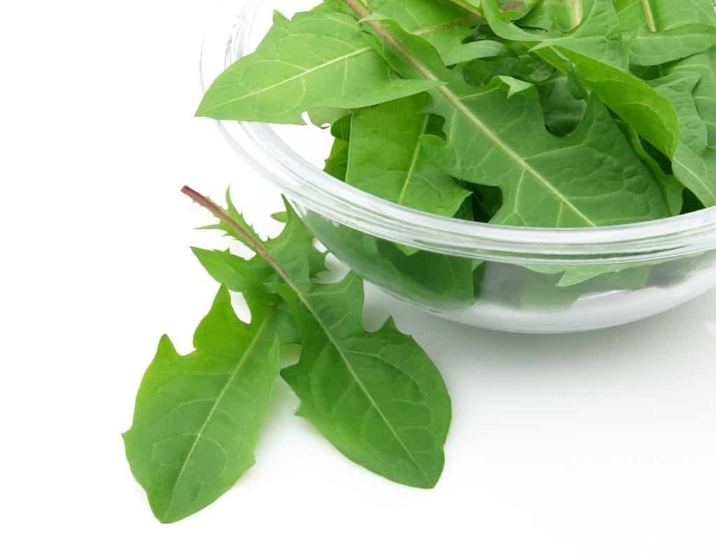 prebiotics for gut health