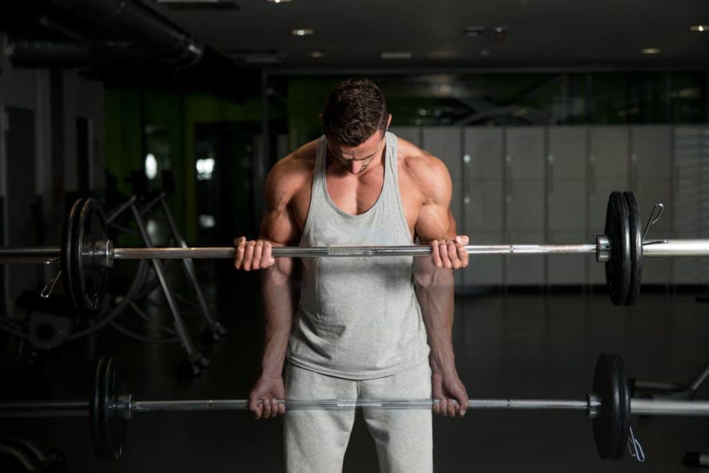 barbell exercises:bicep curls