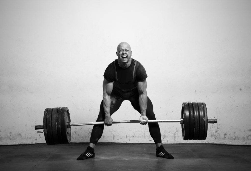 barbell exercises for beginners to master