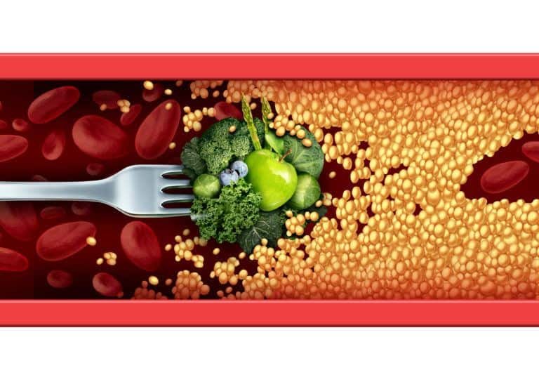Holistic Nutrition