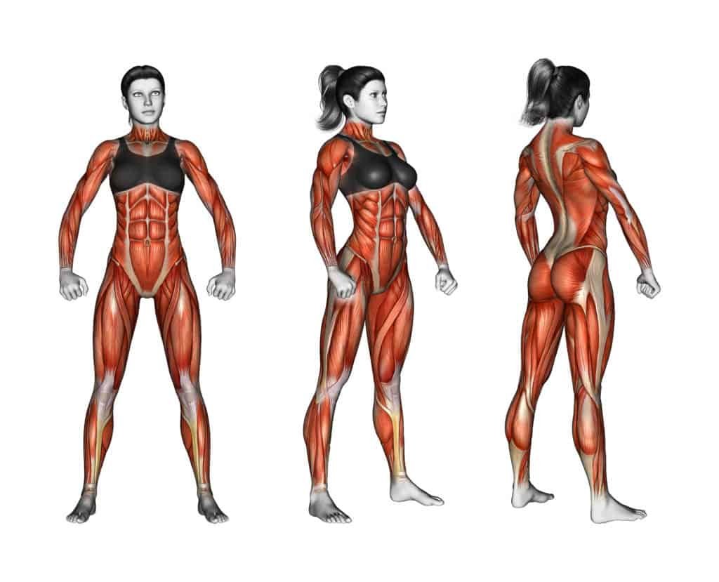 11 Steps Guide To Women's Weight Training 1
