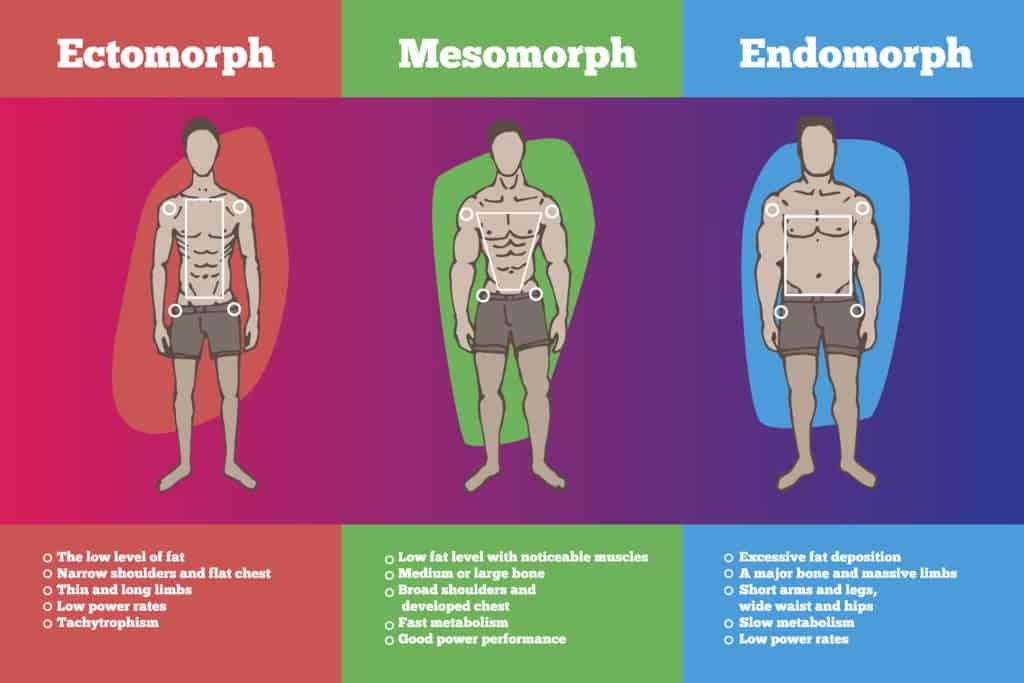 Understanding Body Types To Reach Fitness Bliss 2 Mastering body types for bigger gains