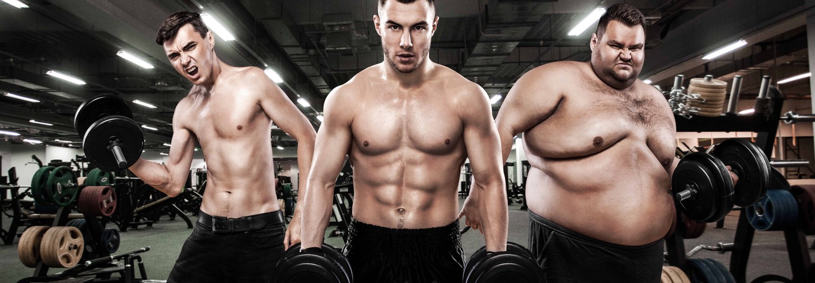 Understanding Body Types To Reach Fitness Bliss 1 Different body types for better fitness