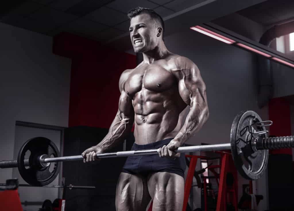 Understanding Body Types To Reach Fitness Bliss 3 How body types dictate your muscle growth