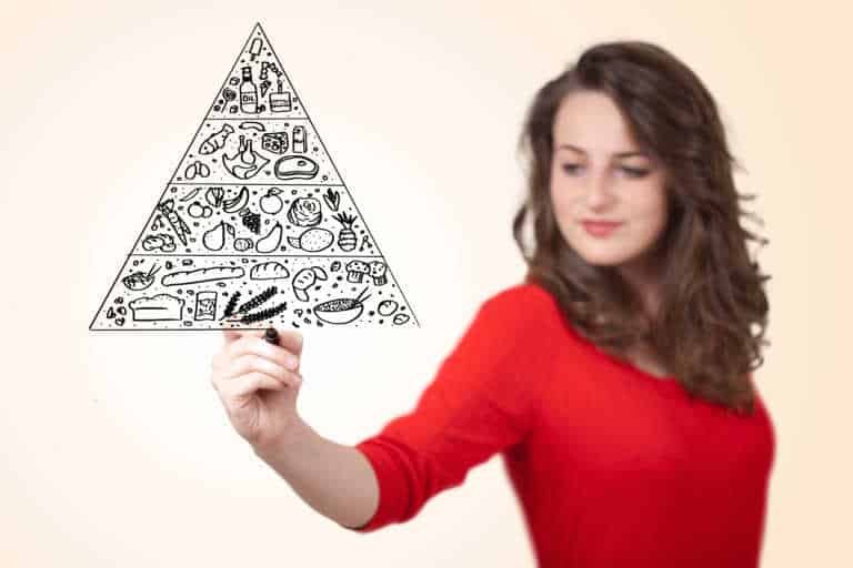 The food pyramid