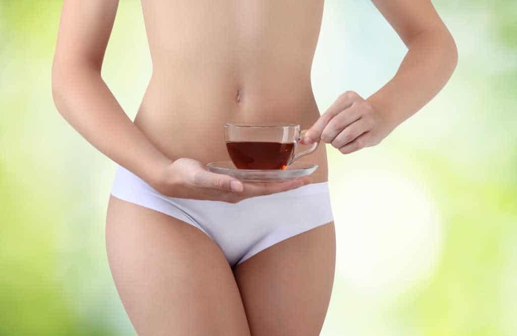 what is rooibos tea?