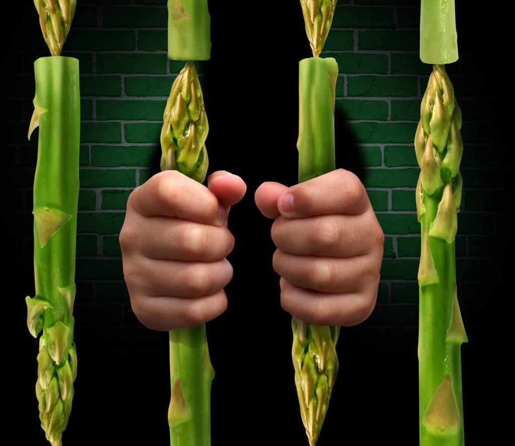 calorie-restricted diet