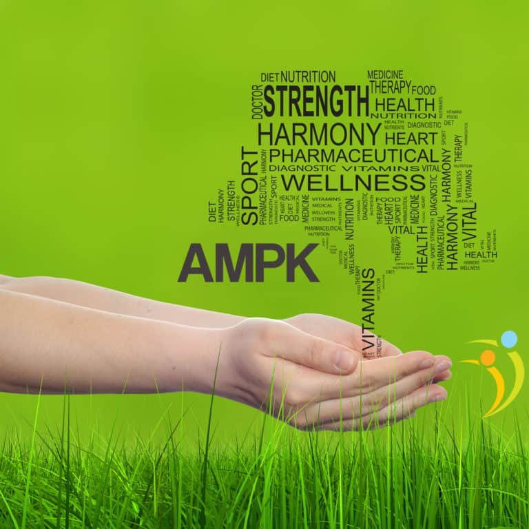 What Is AMPK And What Does It Do?