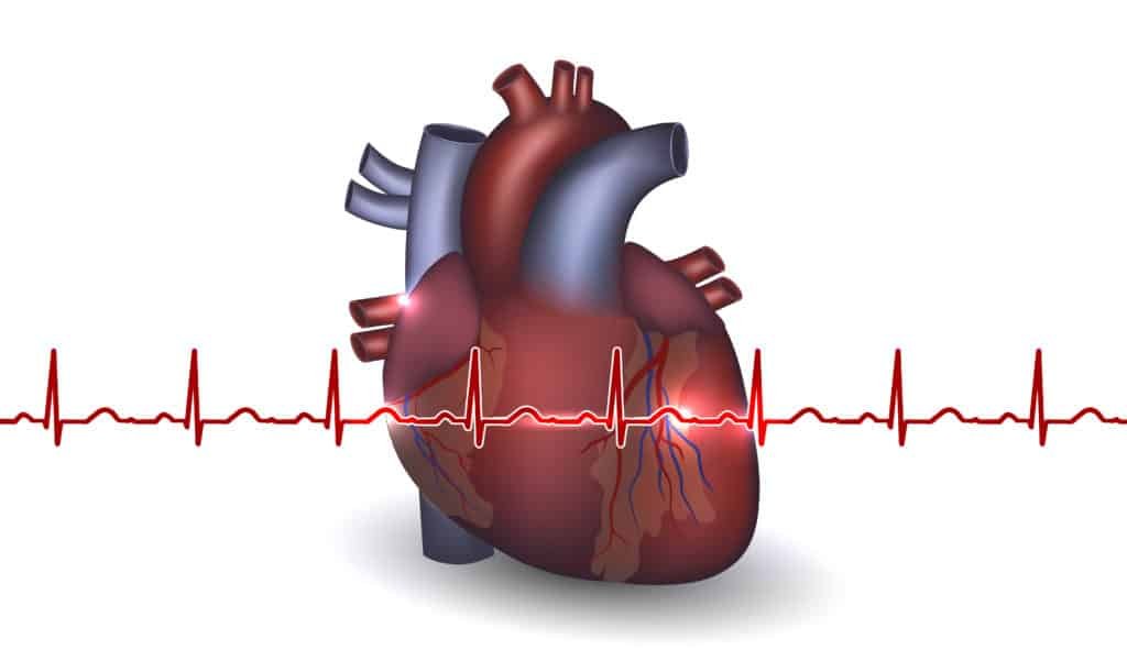 blueberry juice benefits:Cardiovascular disease Prevention