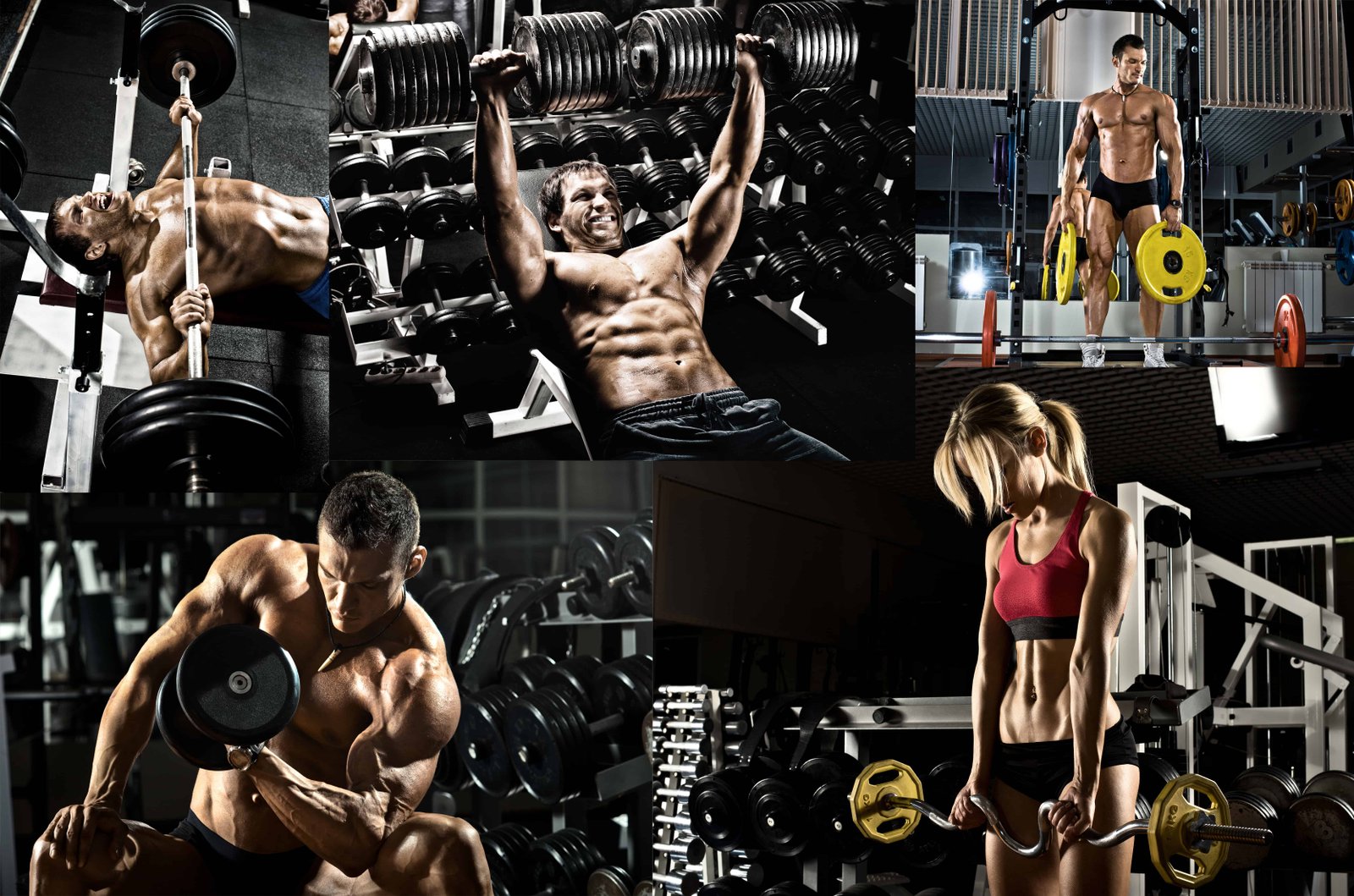 Compound vs Isolation exercises
