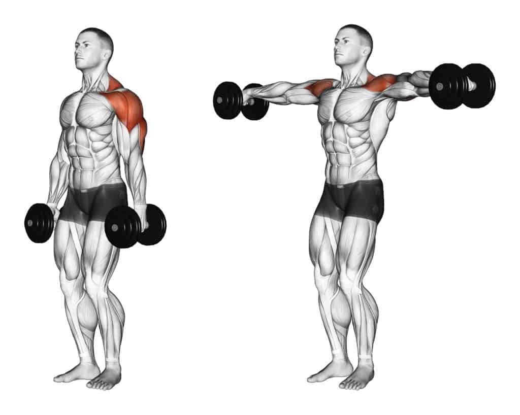 Top Isolation Exercises:Shoulder Flys