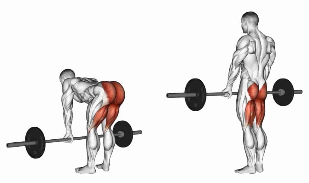 compound vs isolation exercises:Deadlifts