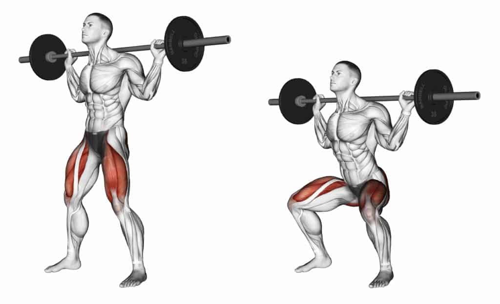 Compound exercises vs Isolation excercises:Squats