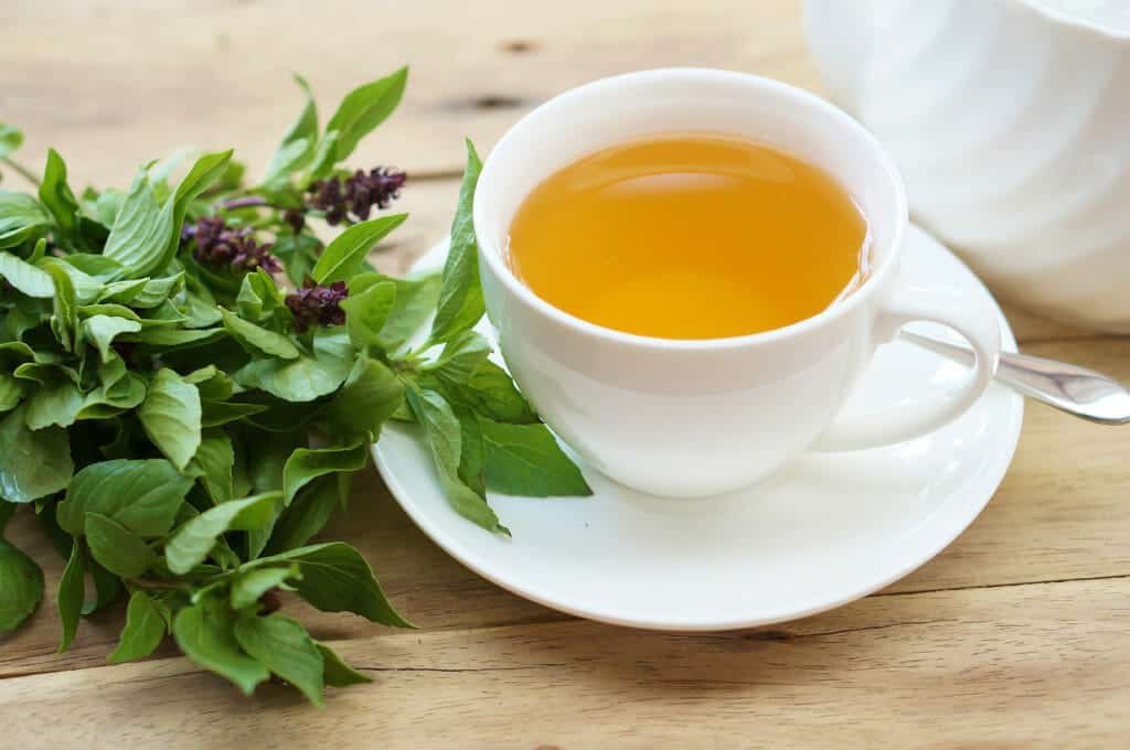 Herbs for energy boost:Holy Basil