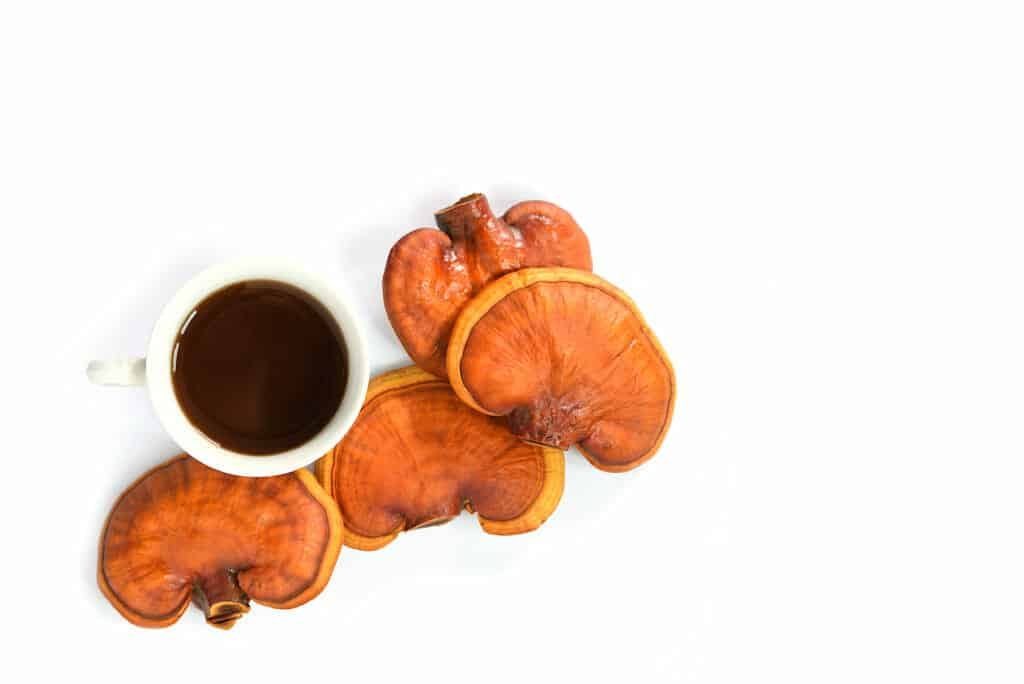 chinese herbs for energy:Reishi Mushrooms