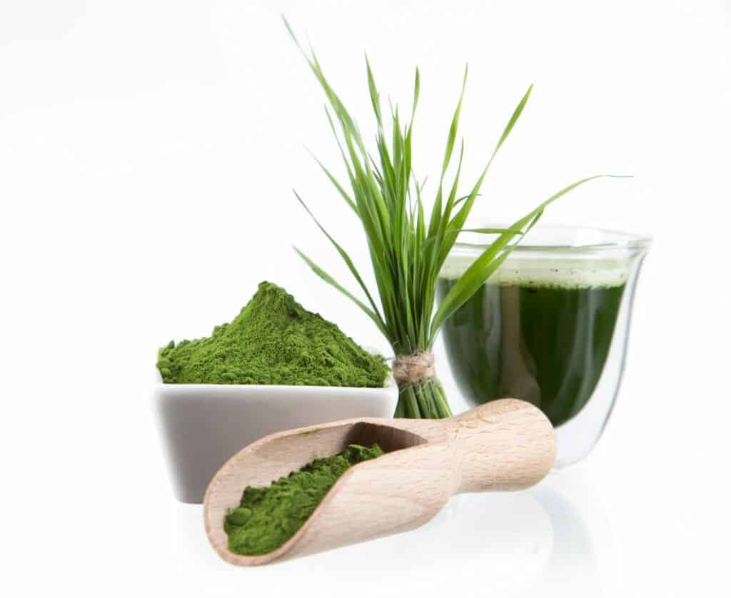 Natural herbs for energy:Spirulina