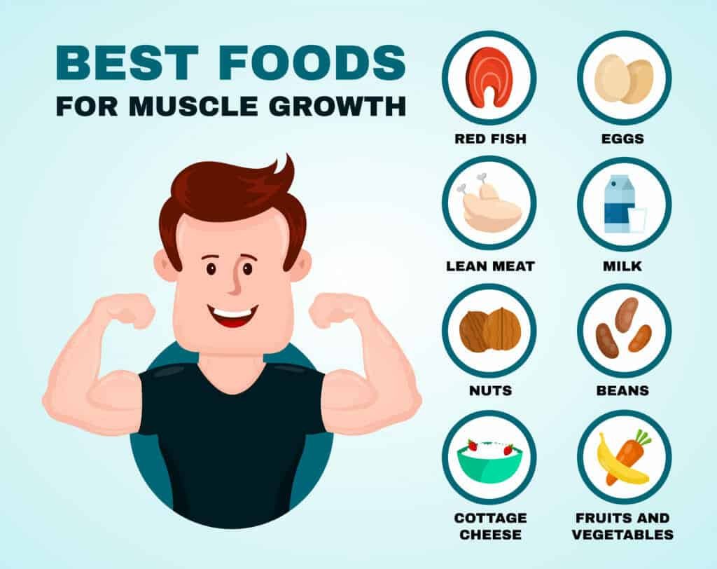 Bulk Up With These 18 Best Foods For Muscle Growth 2 Discover the 18 best foods for muscle growth