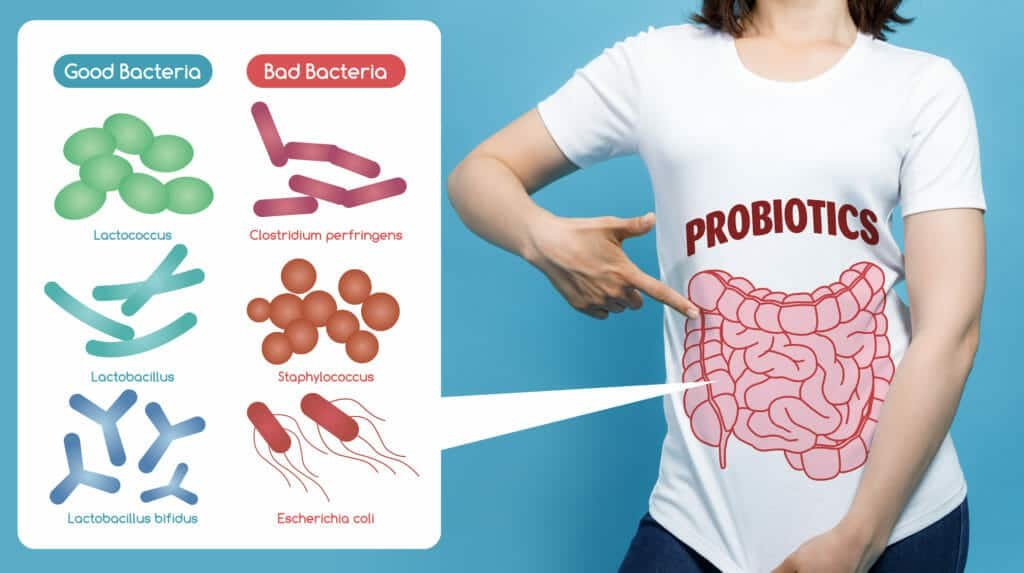 how to lose stubborn belly fat