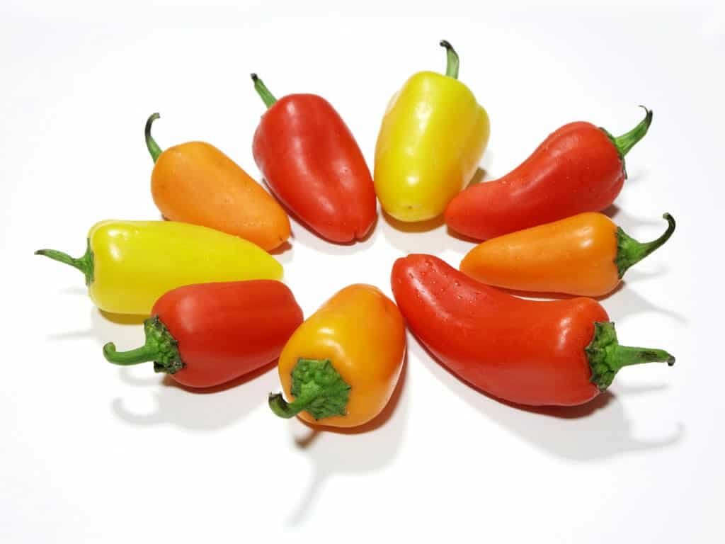 10 Common Foods That Promote Weight Loss Naturally 6 10 Common Foods That Promote Weight Loss Naturally:Chilli Pepper