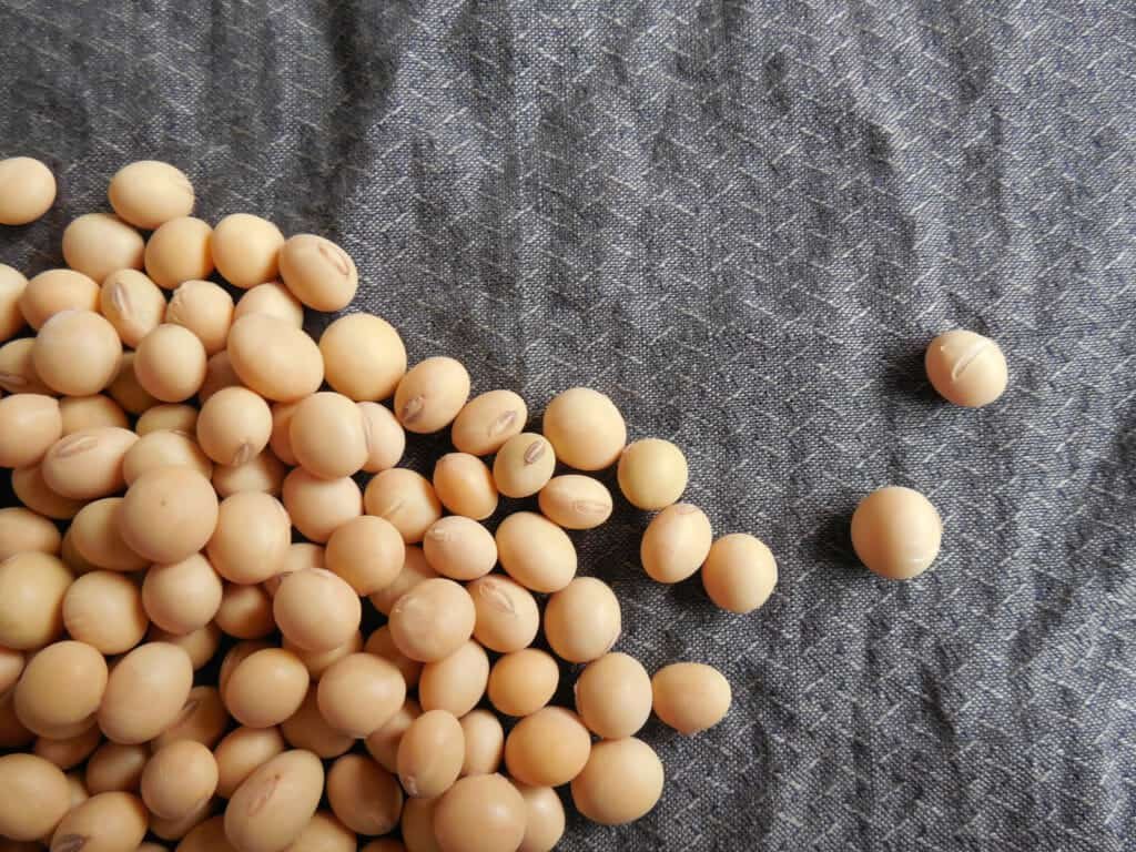 10 Common Foods That Promote Weight Loss Naturally 10 Foods That Promote Weight Loss Naturally:Soybeans