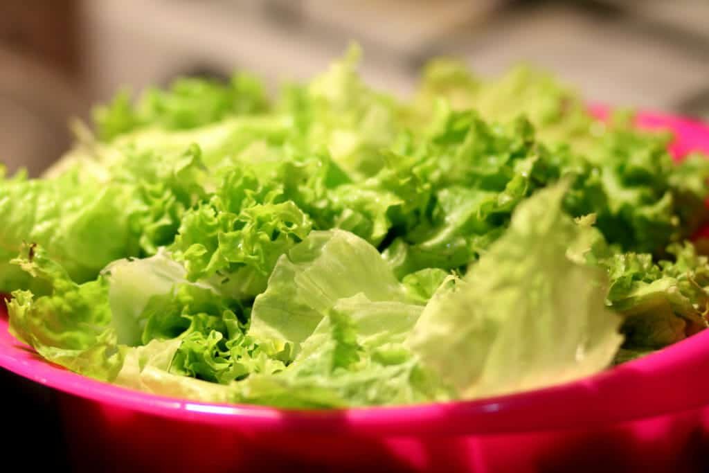 Best Foods For Hydration:Lettuce