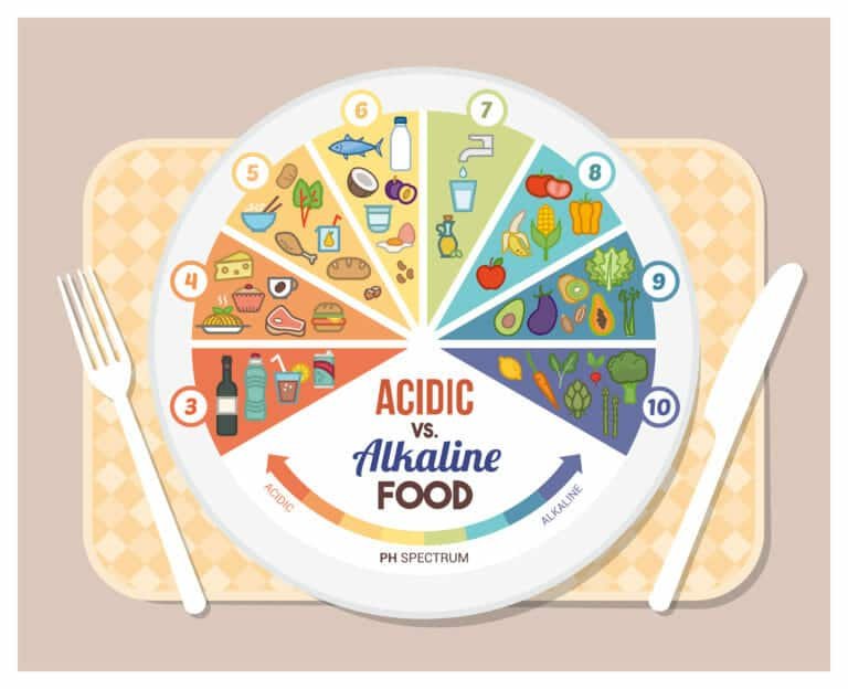 Alkaline vs. Acidic Foods-What are Differences and Which One is Better?