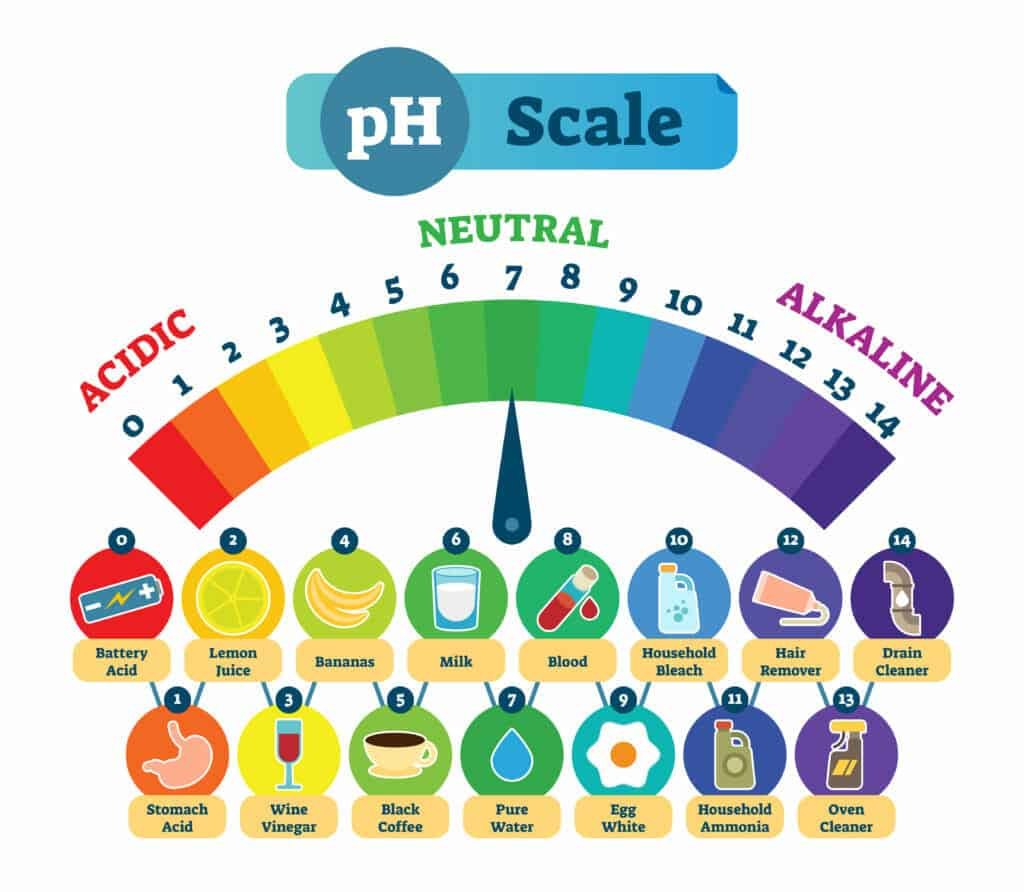Acidic vs. Alkaline-Forming Foods- Foods That Affect Your pH Balance