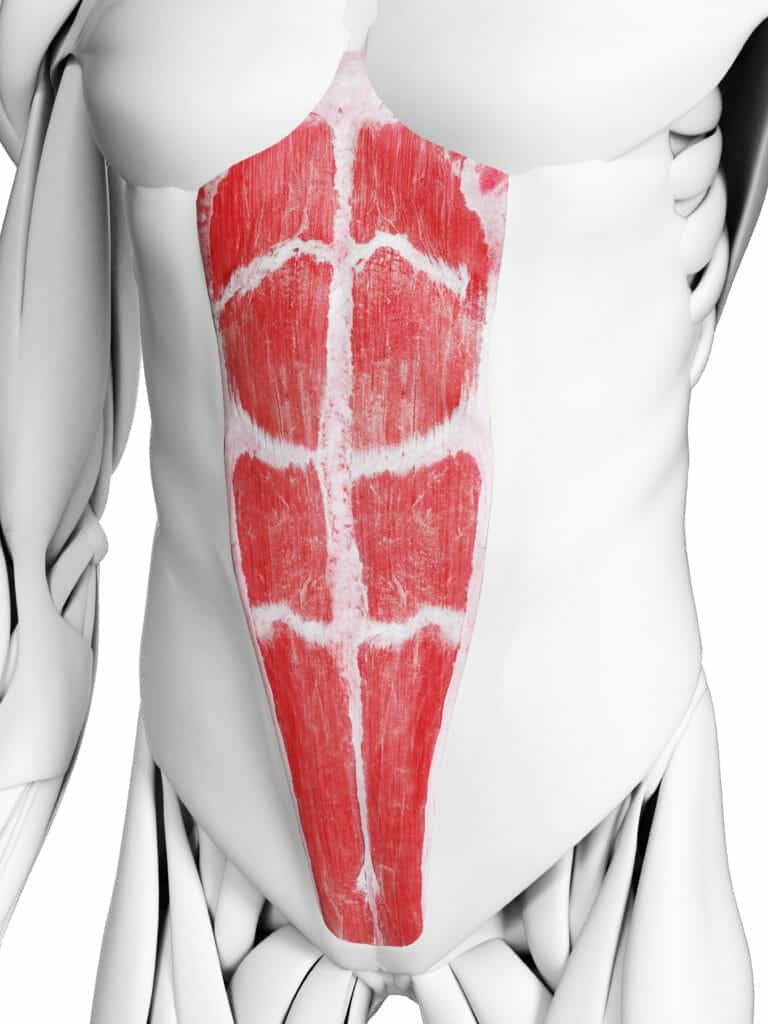 What On Earth Is A Six-Pack?