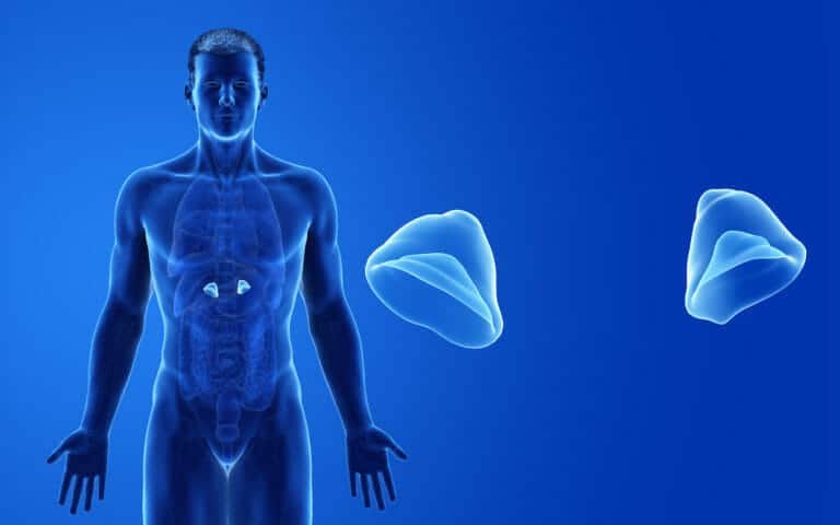 Adrenal Fatigue And Weight Gain: Is There A Connection?