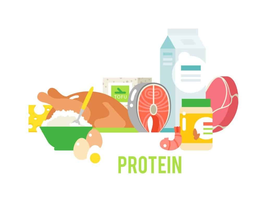 Protein food 