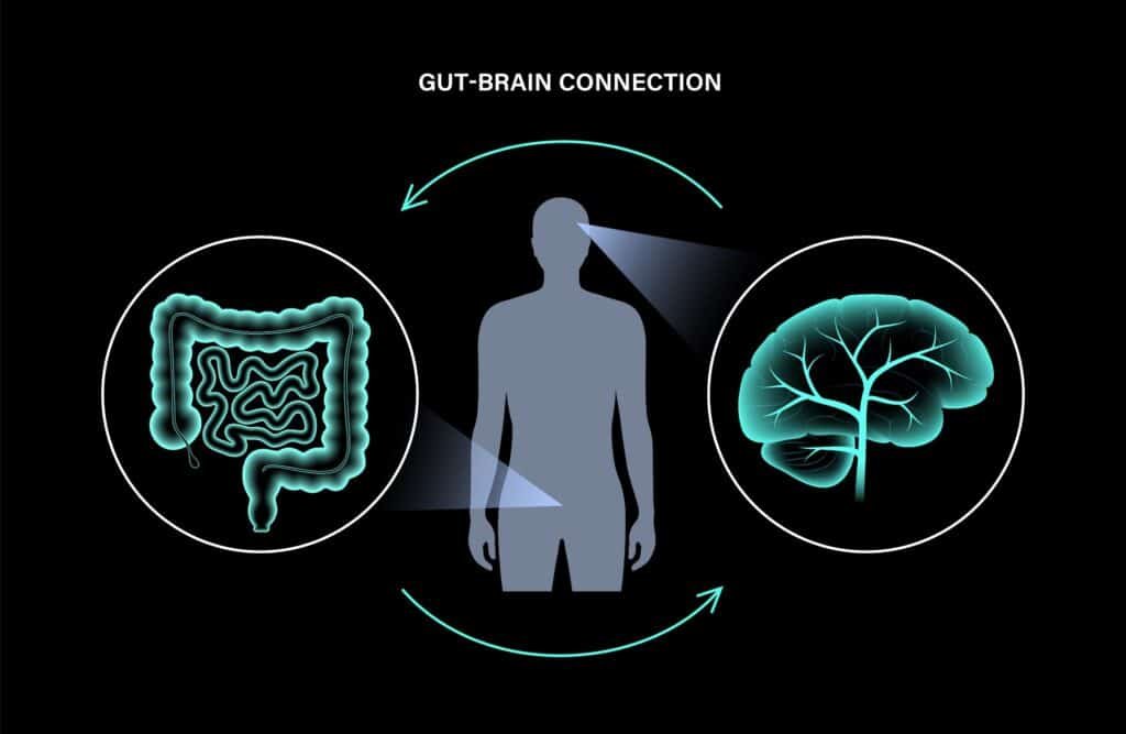 Mind-Body Brain-Gut Connection
