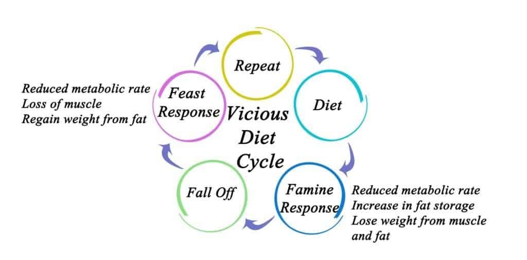 The Yo-Yo Effect: What Is And Why Do We Gain Fat? 2 What Is The Yo-Yo Effect?