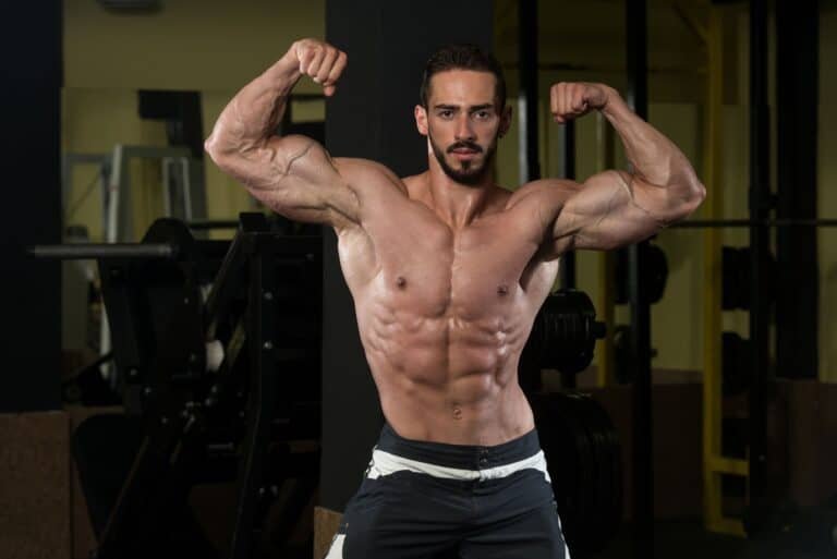 Muscle Hypertrophy vs Muscle Hyperplasia