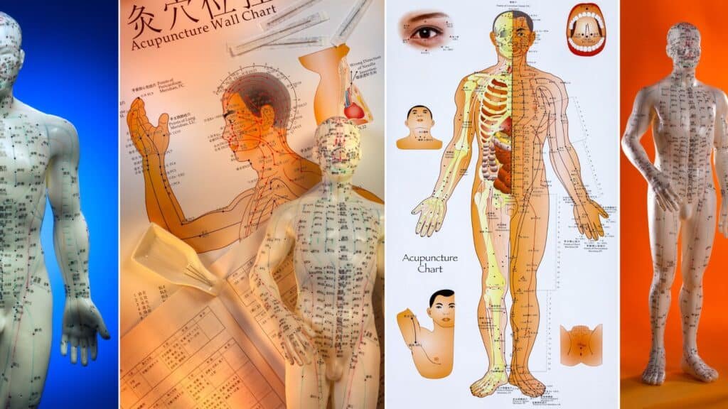 Acupuncture For Stress-What's The Science? 2 Acupuncture For Stress-What's The Science? 1