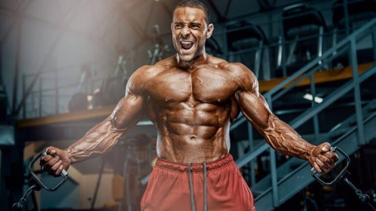 Periodization training