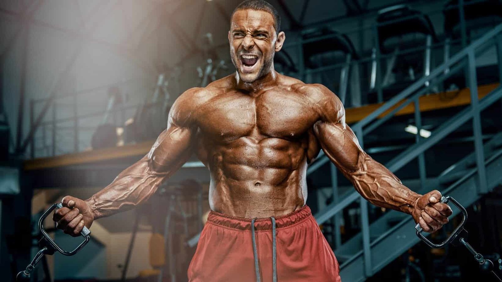 Periodization training