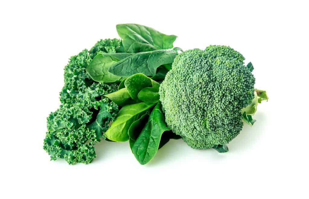 Best Bodybuilding Foods for Cutting: Optimize Fat Loss and Muscle Retention 5 Healthy greens with broccoli, spinach and kale
