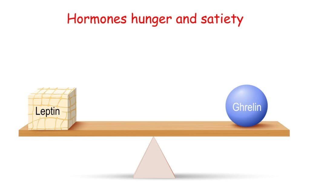 The Nutrient Partitioning Process: How to Lose Weight the Smart Way 2 Balance of Hormones. hunger and satiety.